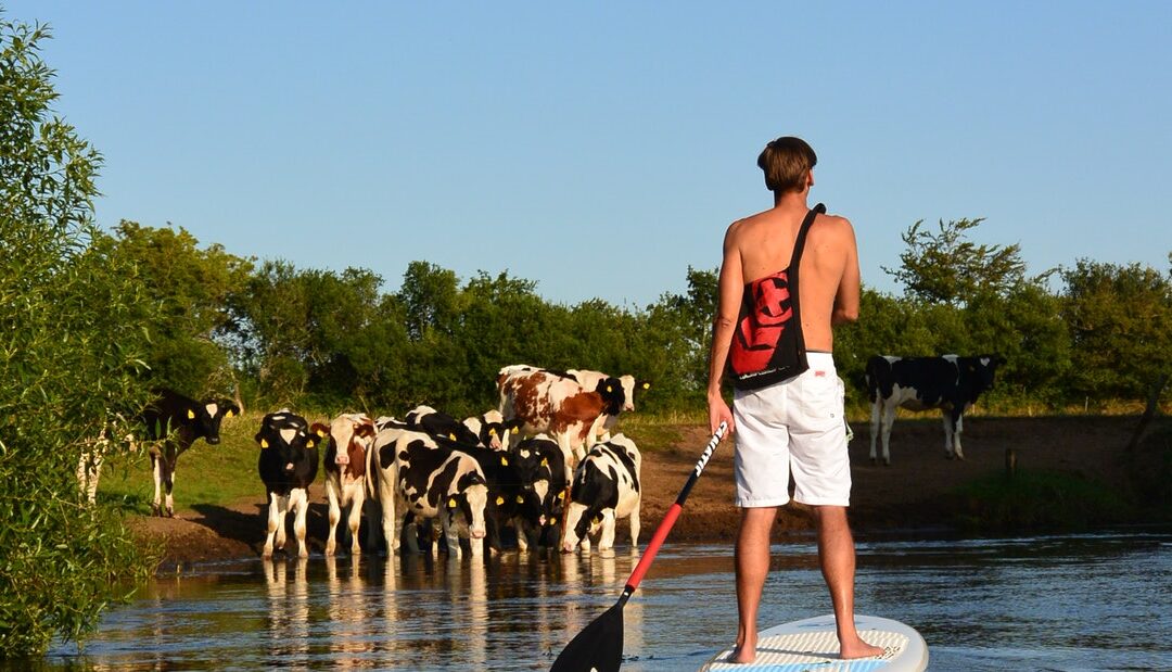 Indiana Jones Treene-Tour