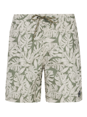 71751014 476 Detail.png