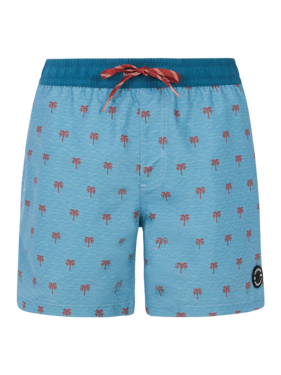 71751028 295 Detail.png